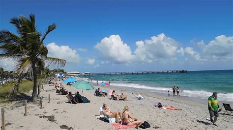 dania pier webcam|Dania Beach 